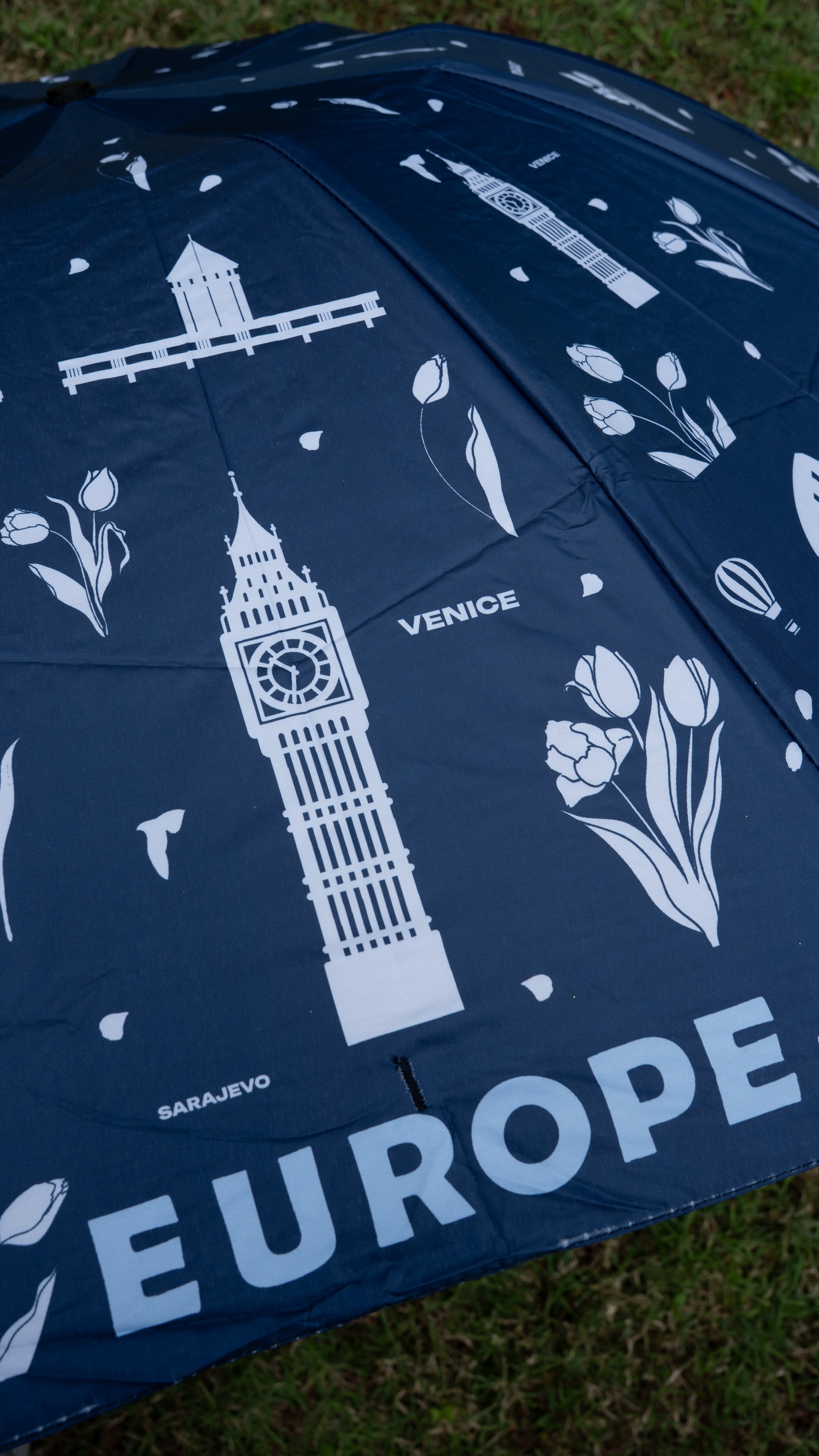 Travel Umbrella