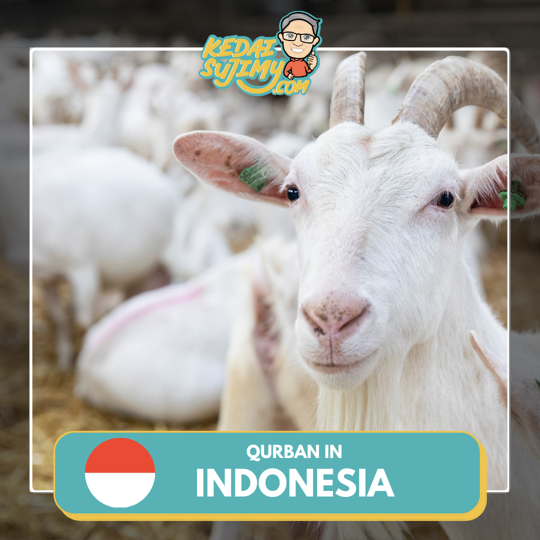 Qurban 2025/1446H - Lombok (Goat)