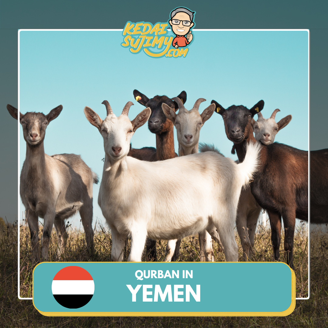 Qurban 2025/1446H - Yemen - Kambing/Goat