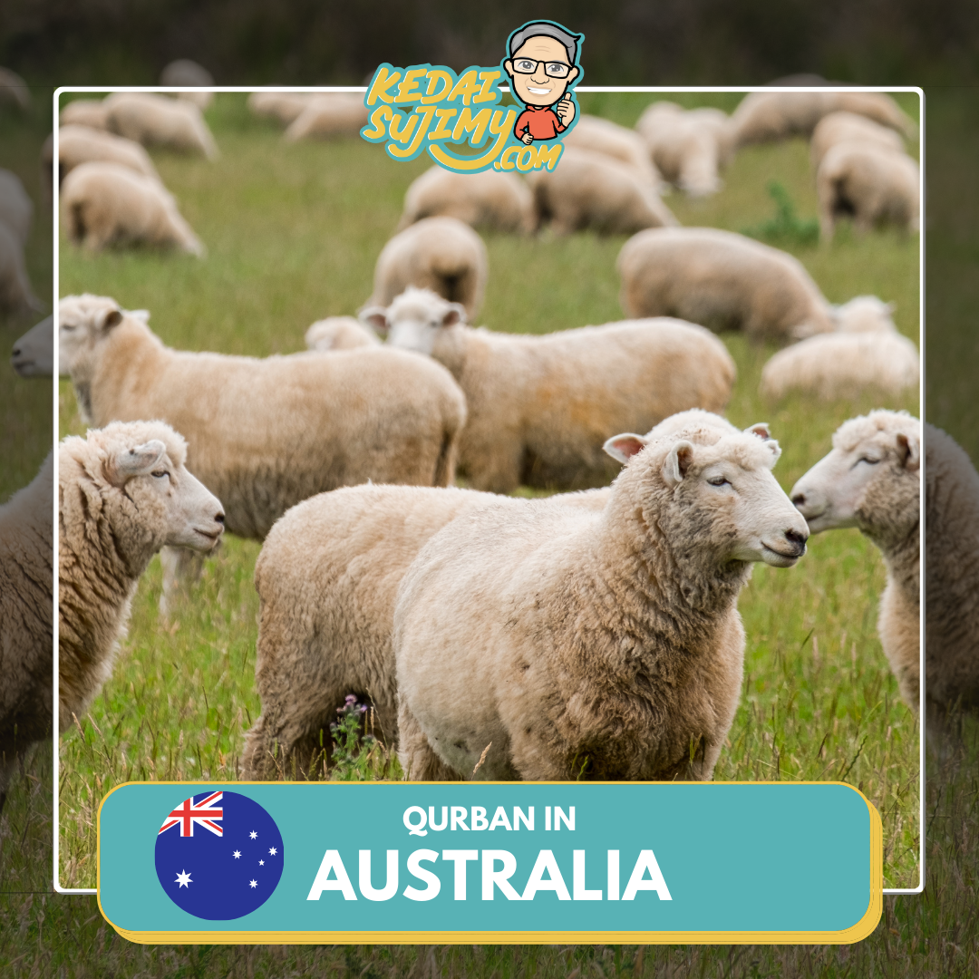 Qurban 2025/1446H - Australia (Sheep)