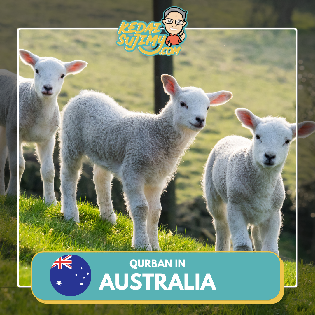 Qurban 2025/1446H - Australia (Lamb)