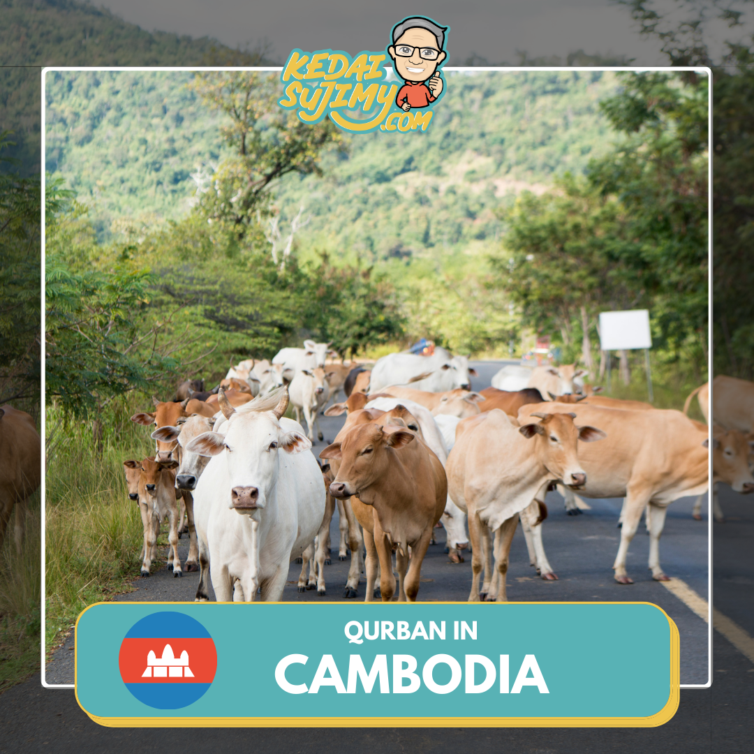 Qurban 2025/1446H - Cambodia (Cow - Whole)