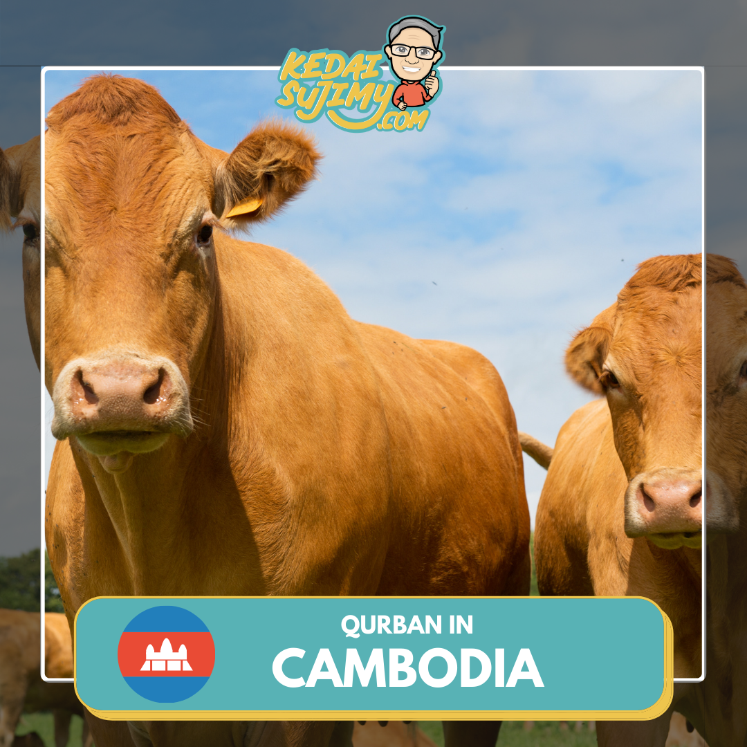 Qurban 2025/1446H - Cambodia (Cow - 1/7th Portion)