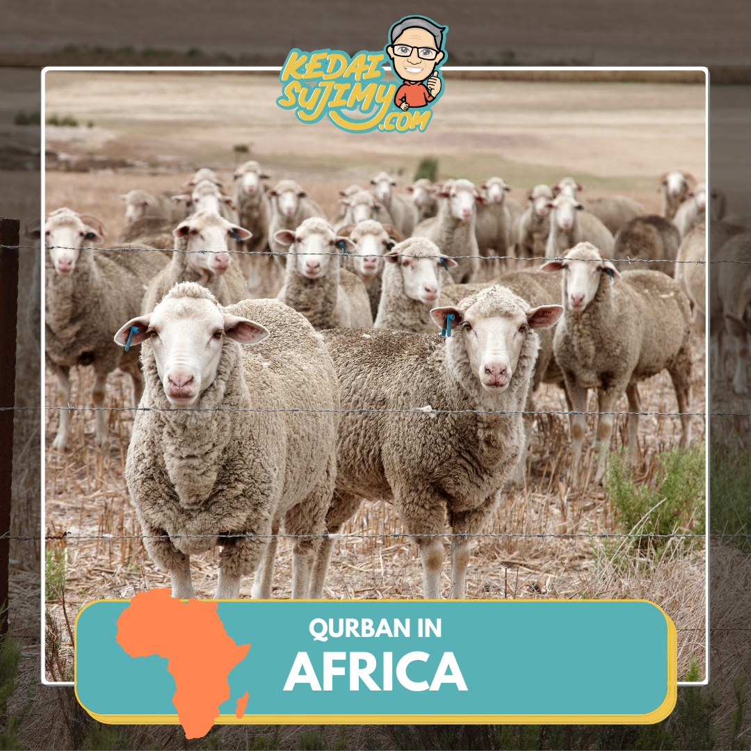 Qurban 2025/1446H - Africa (Goat)