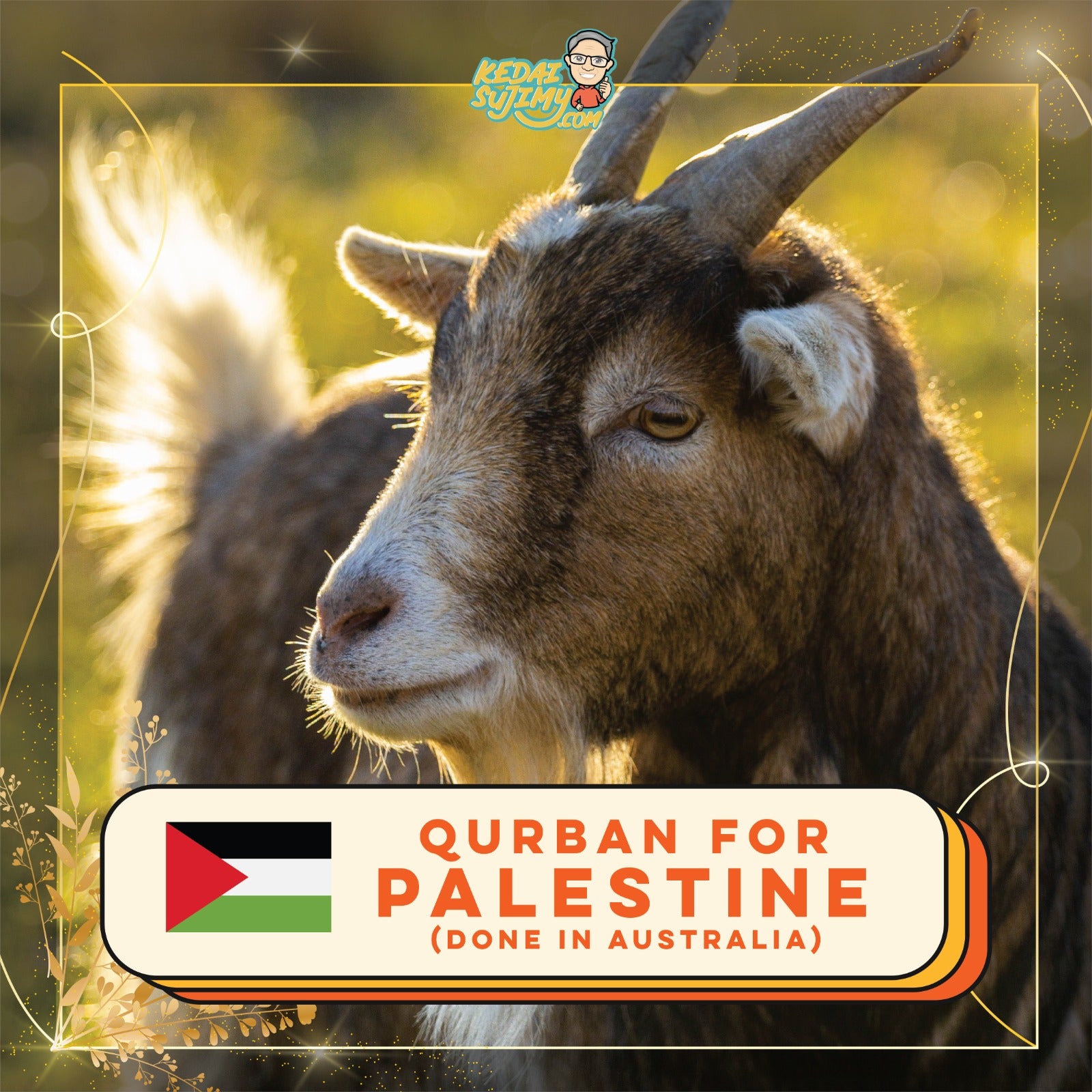 Qurban 2025/1446H - Palestine (Sheep/Lamb)