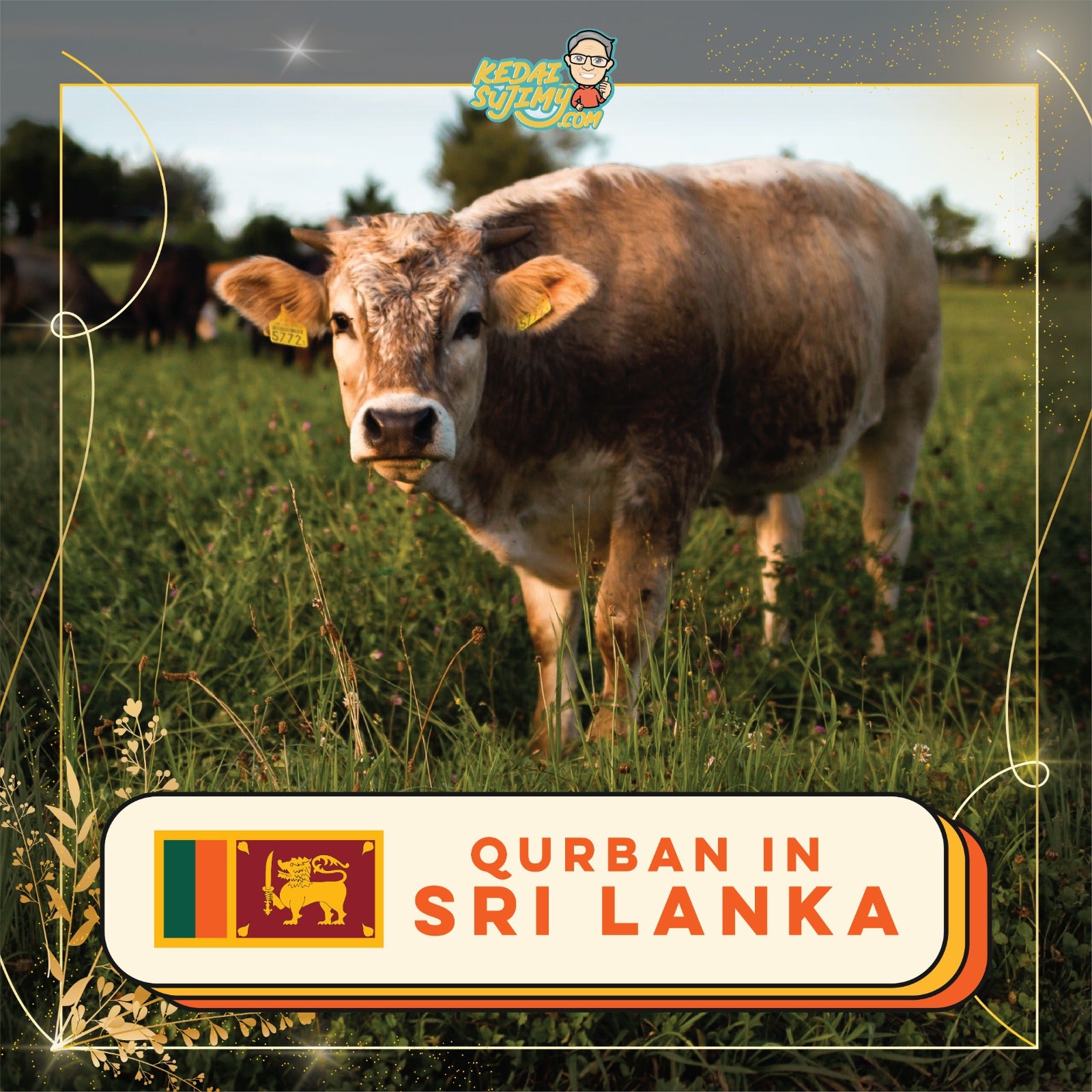Qurban 2025/1446H - Sri Lanka (Cow - 1/7th Portion)