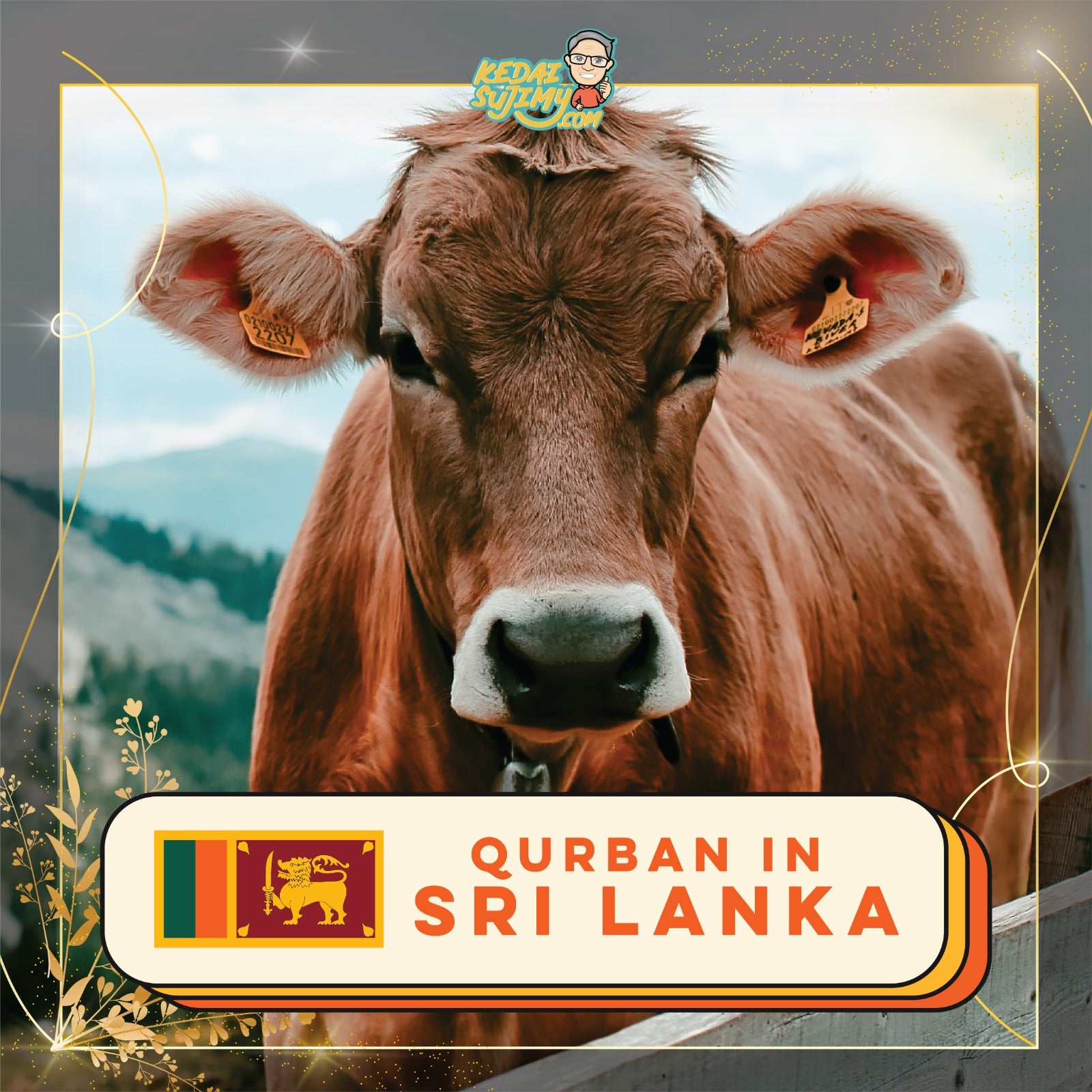 Qurban 2025/1446H - Sri Lanka (Cow - Whole)