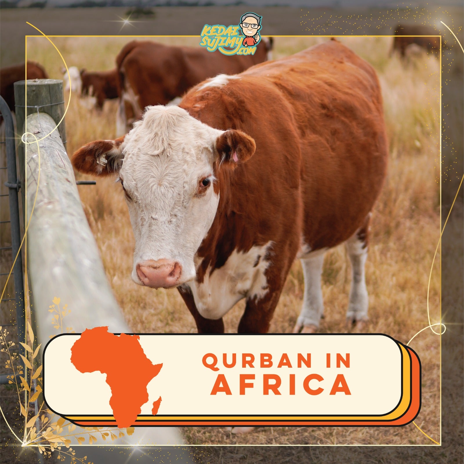 Qurban 2025/1446H - Africa (Cow - Whole)