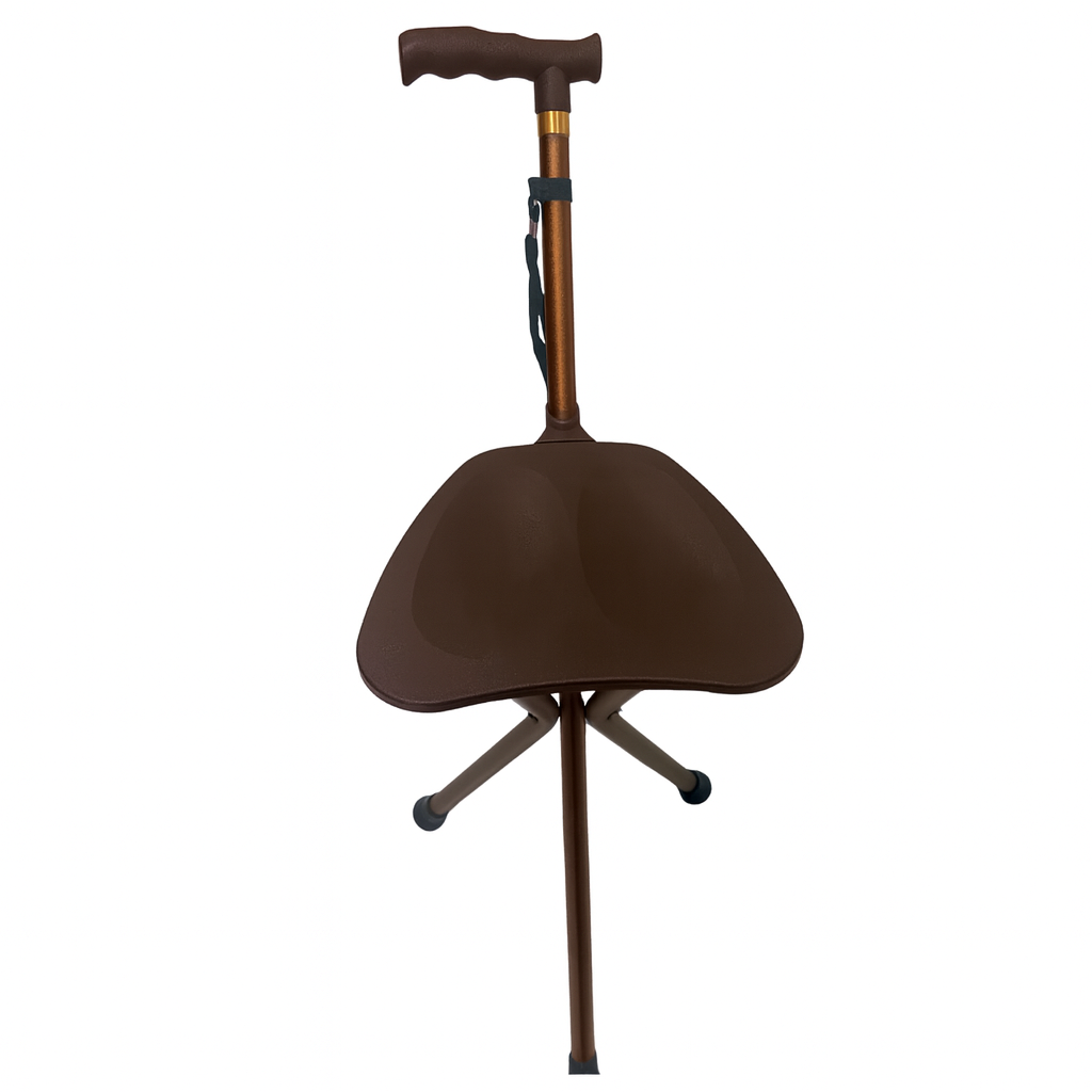 Folding Chair Cane