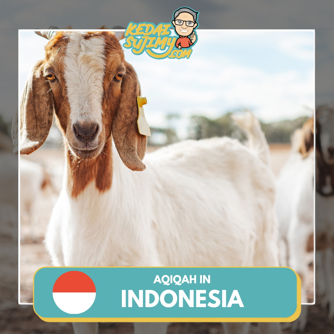 Aqiqah 2023/1444H - Lombok (Goat)