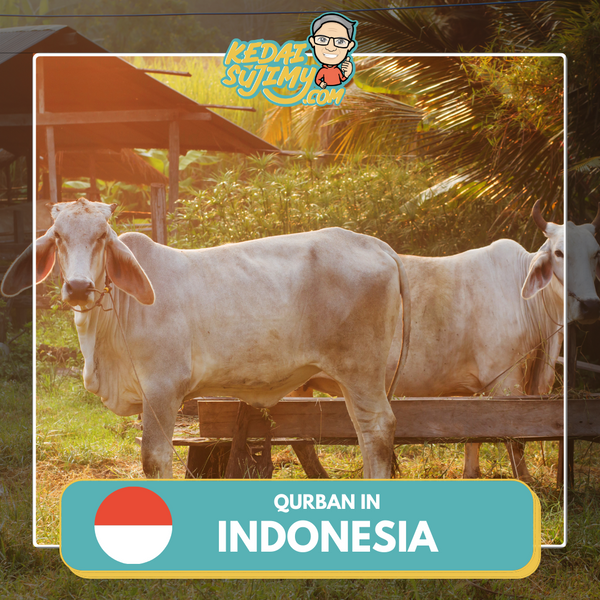 Qurban 2024/1445H - Lombok (Cow)