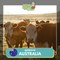 Qurban 2024/1445H - Australia (Cow - Whole)