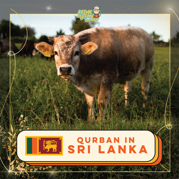 Qurban 2024/1445H - Sri Lanka (Cow - 1/7th Portion)
